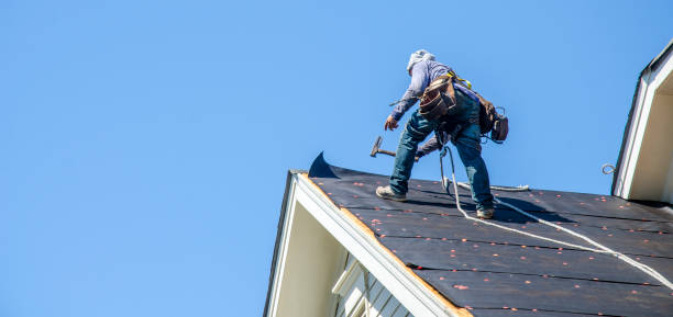 Professional Roofing Contractor in Wiggins, MS